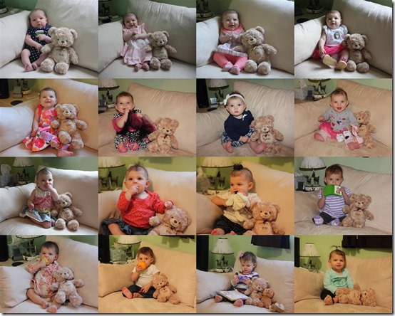 Adele Monthly Pictures (1-18 Months) - Copy